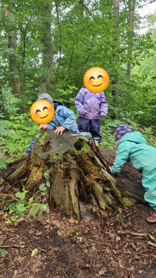 Wir lieben den Wald und die Natur